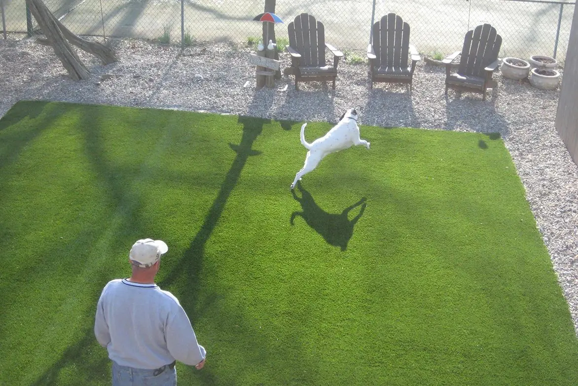 A man and his dog playing frisbee in the grass.