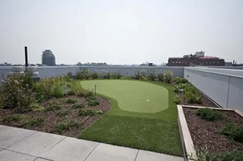 A large backyard with a putting green and grass.
