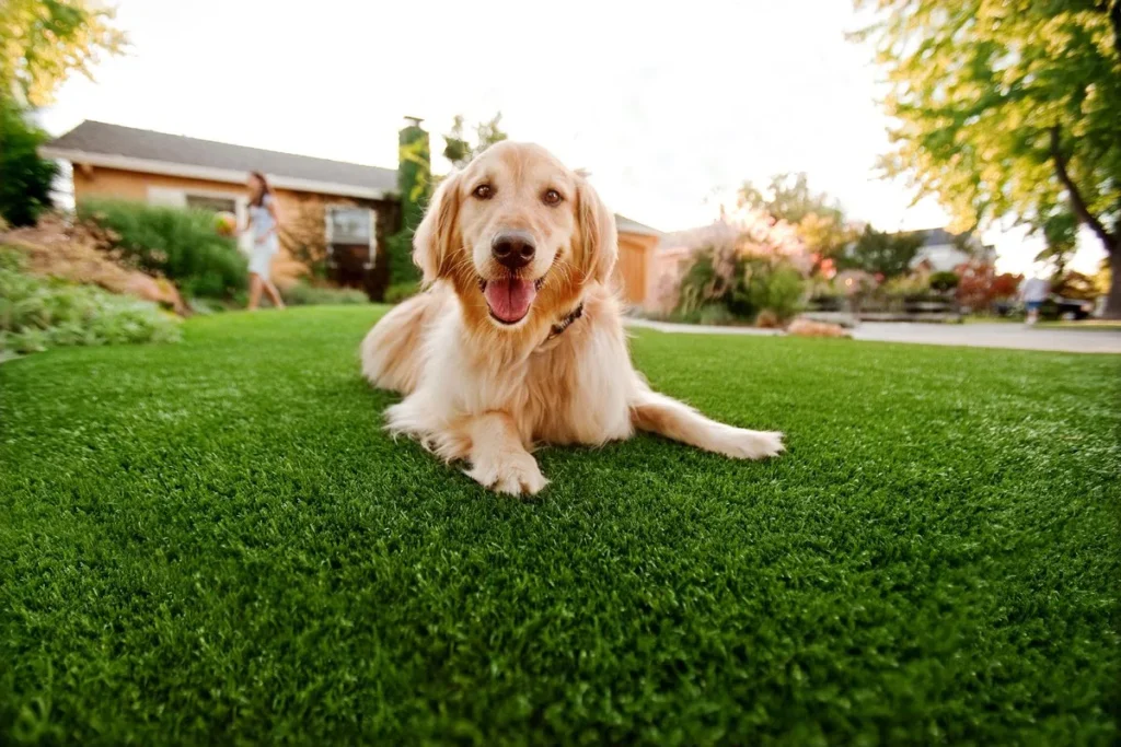 Artificial Turf for Pets