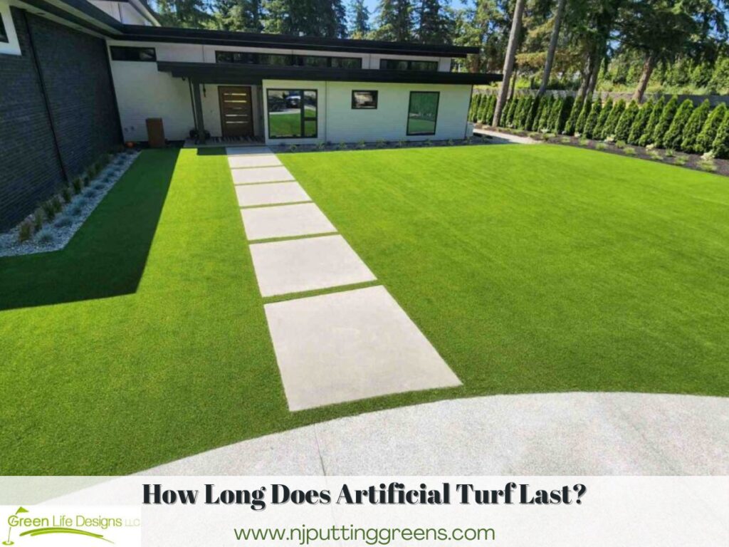 How Long Does Artificial Turf Last & Does It Smell with Dogs?